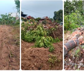 Kasus Dugaan Perusakan Tanaman di Pitu Riawa Sidrap Berbuntut Laporan Polisi