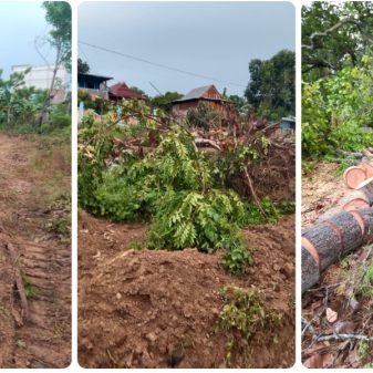 Kasus Dugaan Perusakan Tanaman di Pitu Riawa Sidrap Berbuntut Laporan Polisi