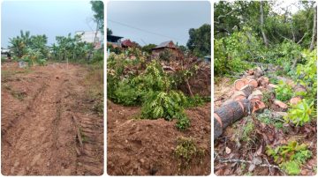 Kasus Dugaan Perusakan Tanaman di Pitu Riawa Sidrap Berbuntut Laporan Polisi