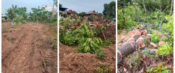 Kasus Dugaan Perusakan Tanaman di Pitu Riawa Sidrap Berbuntut Laporan Polisi