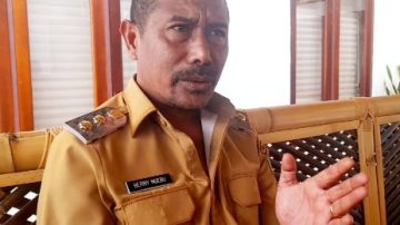 Solusi Permanen Jalur Wolongizu di Ngada, Perjuangan Pemda Hadapi Aturan Kawasan