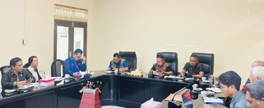 Pacu Progres Rencana Rekonstruksi, Pemkab Ngada Kolaborasikan Perangkat Daerah dan BNPB