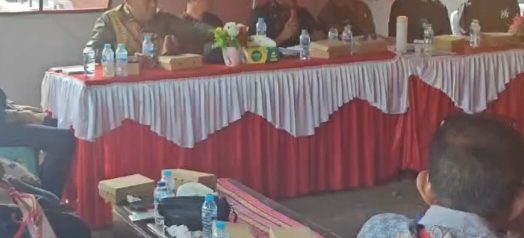 Temui Tim Pengawas DPR, Wabup Ngada Soroti Nasib Nelayan dan Rumah Tak Masuk Kategori Bantuan